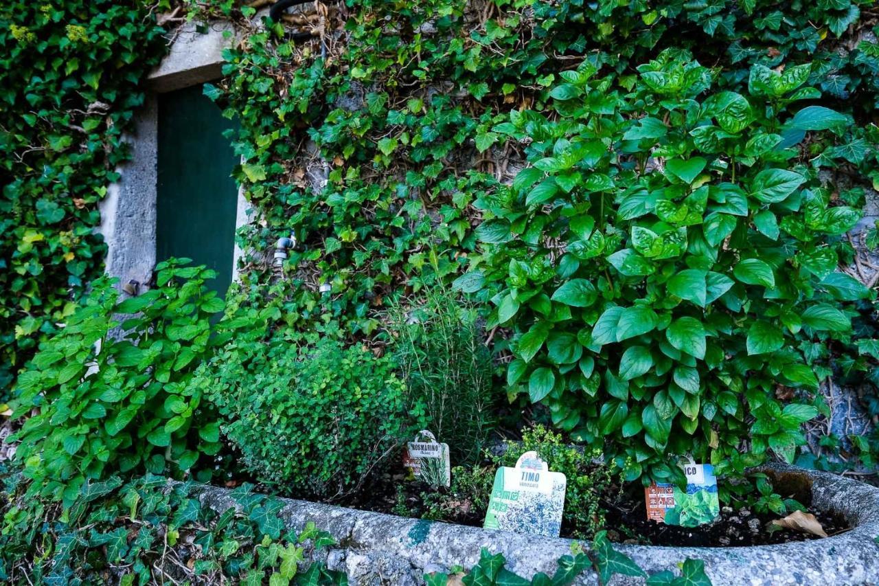 Villa Gina Varenna Exterior photo